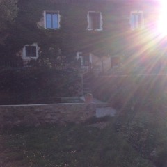 The Tapping Valentinos