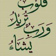 Mostafa Mohamed Ramadan 1