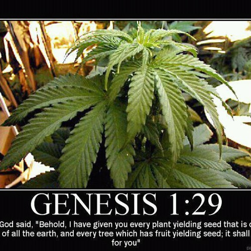 Keepin It A Life When It  Go Get Colder! mix roots new roots and dub