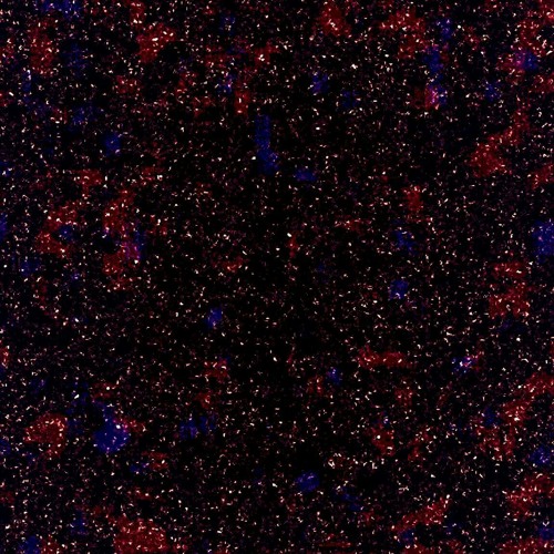 Ceilz S Stream On Soundcloud Hear The World S Sounds soundcloud