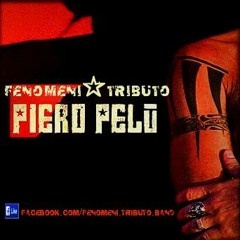 FENOMENI Tributo PELU'