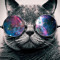 Galactikat