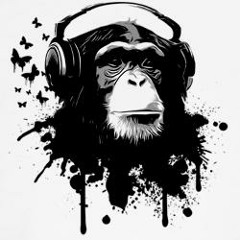 Audio Monkey