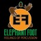 Elephant Foot