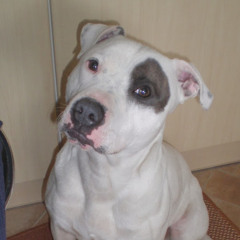 ben12345678910