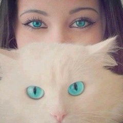 miro_moez