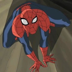Peter Parker Spider-Man)