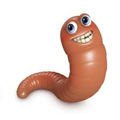 WORM