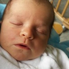 Roy-Manuel Rodriguez