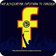 los greys