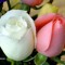Marwa Fayez