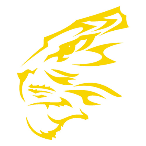 Vingadora - Parara Tim Bum