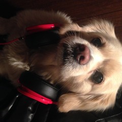 DJ KOTA