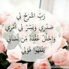 user466665776