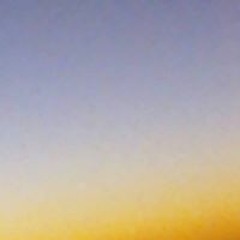 user197521483