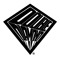 DoubleDiamond