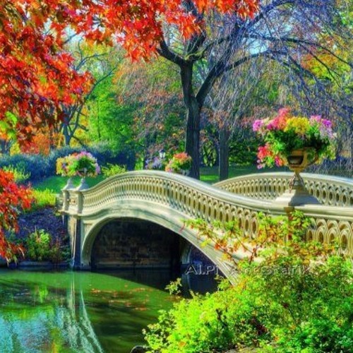 عمر خيرت مكتبة اسكندرية 18/8/2016