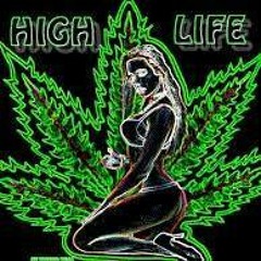 Bobby King Elmo Young