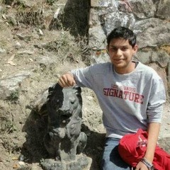 Abhinav Kaushik