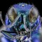 Wasp Reactivation