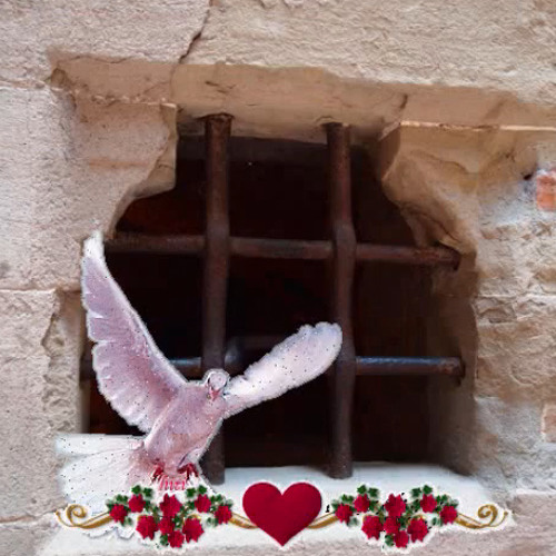 Stream Pierre Grenier music Listen to songs, albums, playlists for