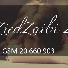 ZIED ZAIBI