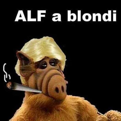 Soom t Pupajim What is life