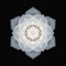 transCODES Energy Healing & Training