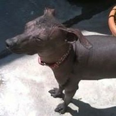 Yalina Ventura Aquino