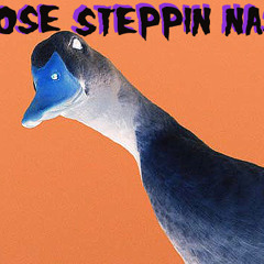 Goose Steppin Nasty