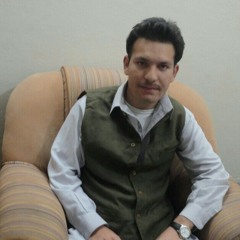 user94245612