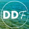 DrDeepFeeling