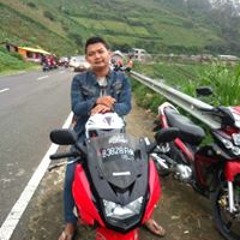 sandi