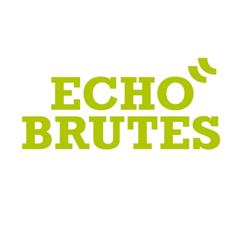 Echo Brutes’s avatar