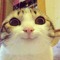 ^^Ahmed^^
