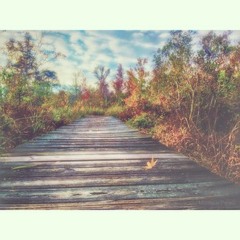 brycerichardsonbryce