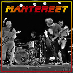 Mantereet