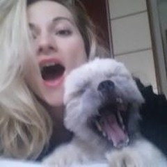 Pame Pam-Pam Mravljak