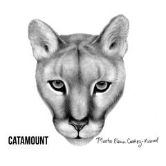 Catamount (Missoula)