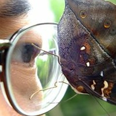 Lek Pornthep Katsura