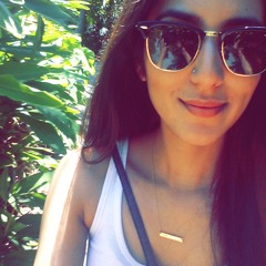 Punjabi 2