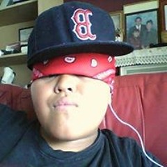 Hinckley Fale Talipope