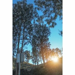 victoriamckinneyvictoria