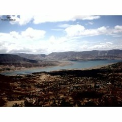 alejandracarralejandra