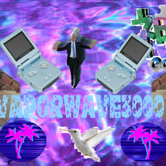 VAPORWAVE3000