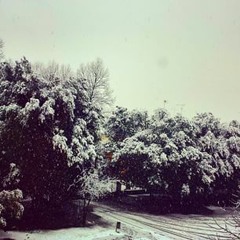 jocelynsandersjocelyn