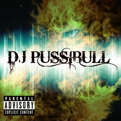 DJ PUSSIBULL