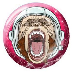 Monkey Boy