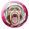 Monkey Boy