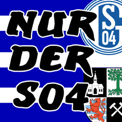Schalke Fan